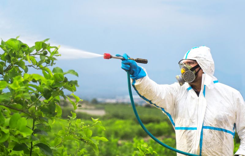 Pest Fumigation Service in Cumming, GA