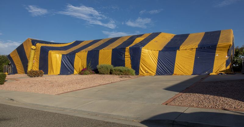 Termite Tenting in Franklin, TN